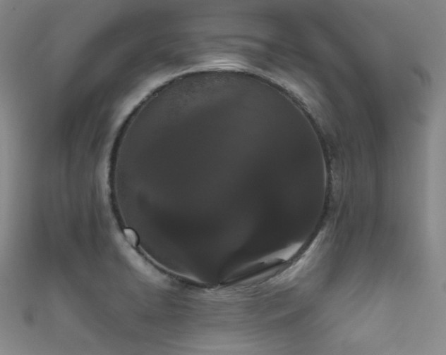 X0000111861422200907231442