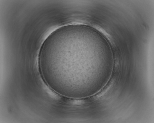 X0000111861423200907231442