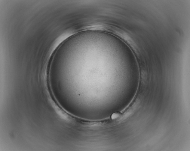X0000111861426200907231442