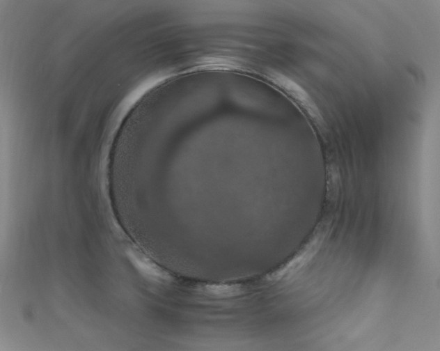 X0000111861427200907231442