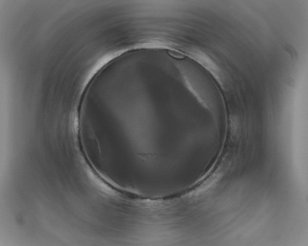 X0000111861428200907231442