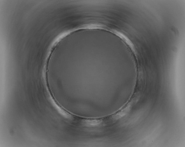 X0000111861429200907231442