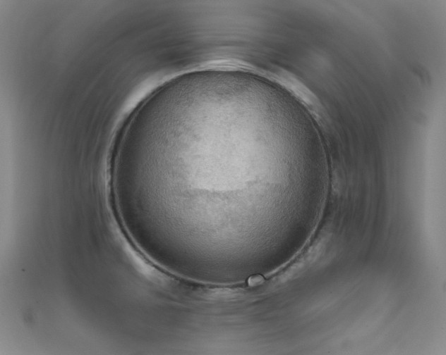 X0000111861430200907231442