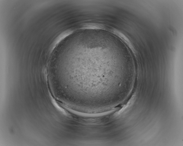 X0000111861433200907231443