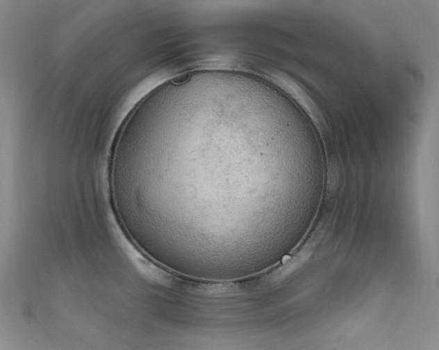 X0000111861434200907231443