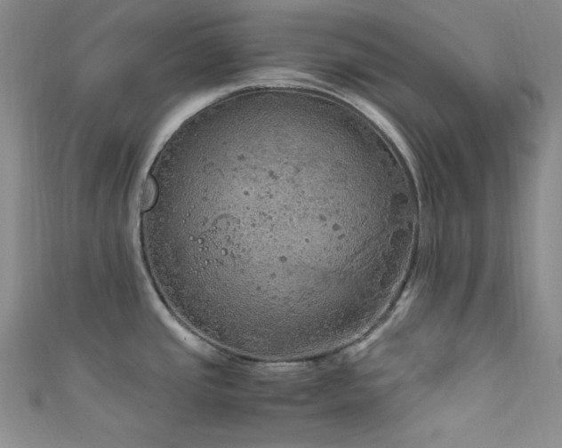 X0000111861437200907231443
