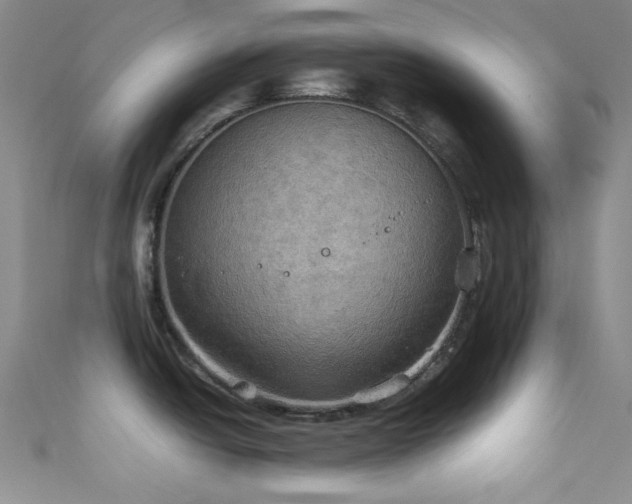X0000111861438200907231443