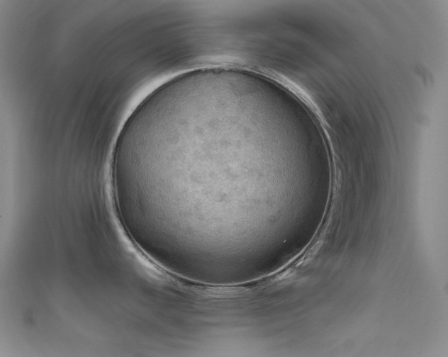 X0000111861440200907231443