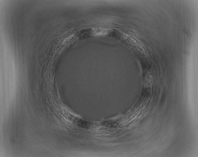 X0000111861441200907231442