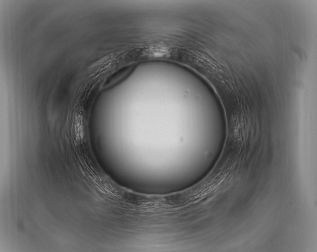 X0000111861442200907231442