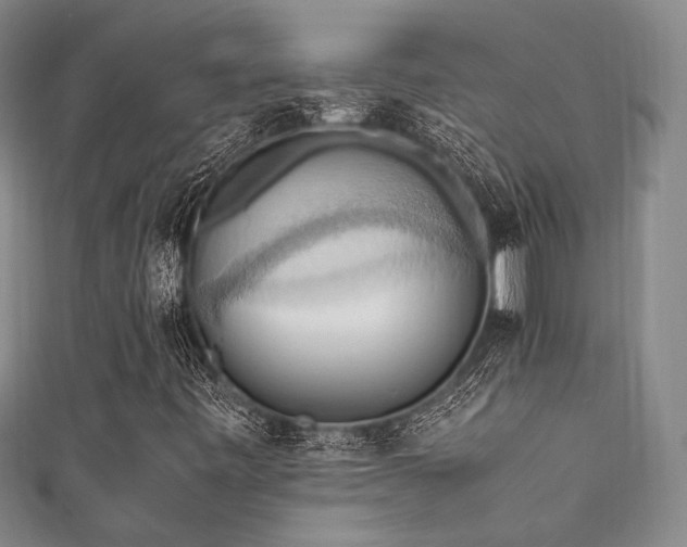 X0000111861443200907231442