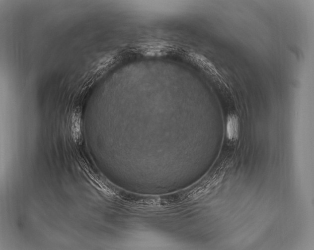 X0000111861444200907231442