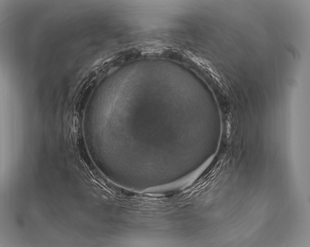 X0000111861445200907231442
