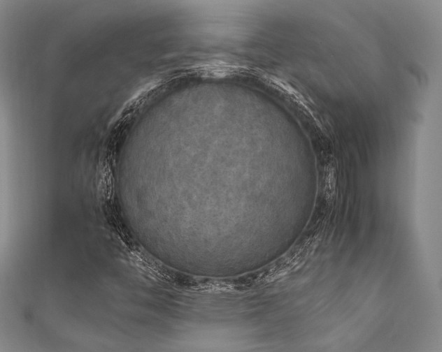 X0000111861446200907231442