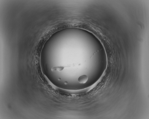 X0000111861447200907231442