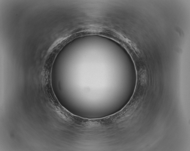 X0000111861448200907231442