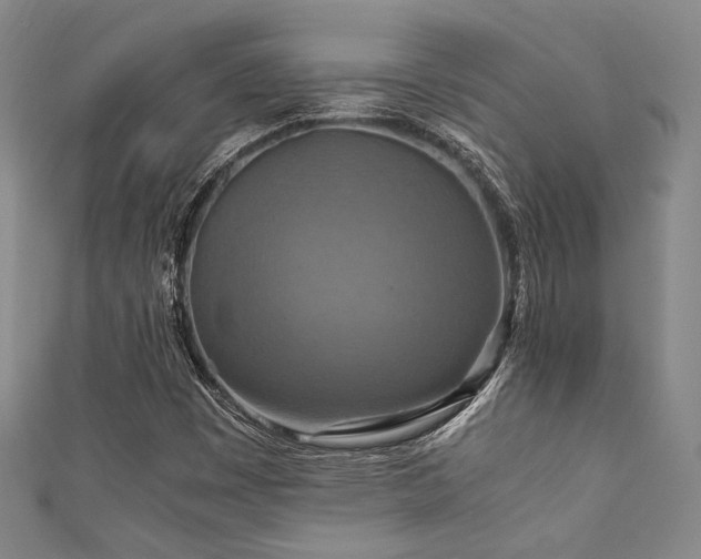 X0000111861449200907231442
