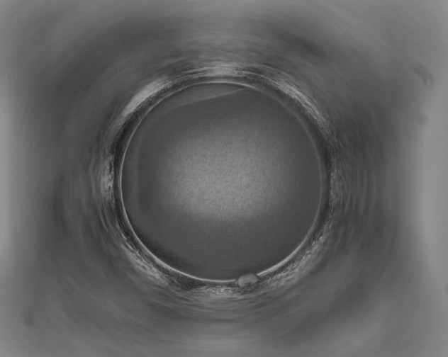 X0000111861450200907231442