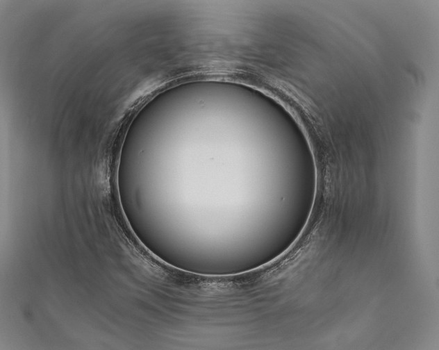 X0000111861451200907231442