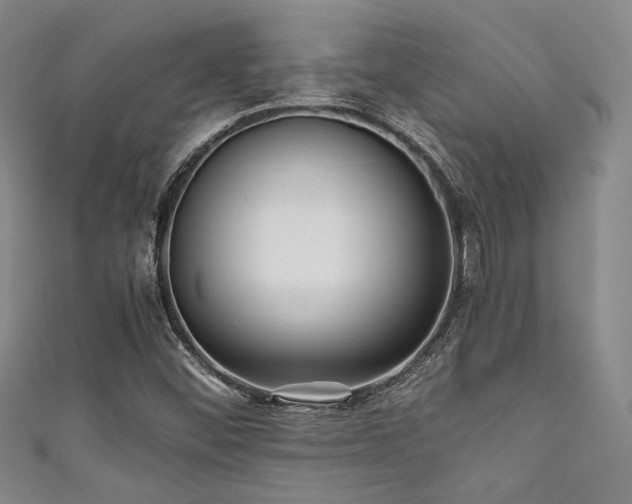 X0000111861452200907231442