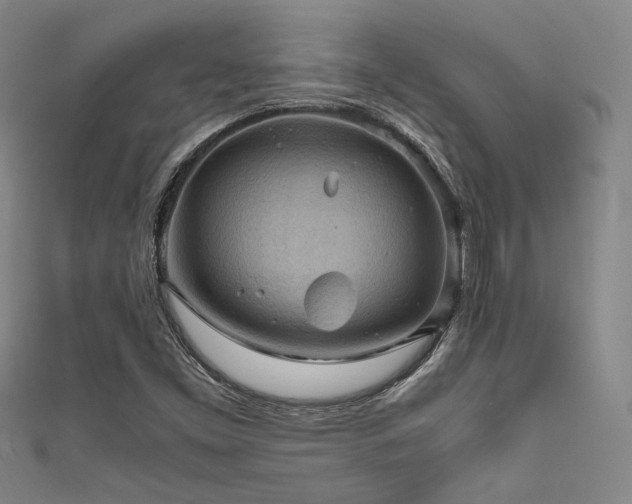 X0000111861453200907231442