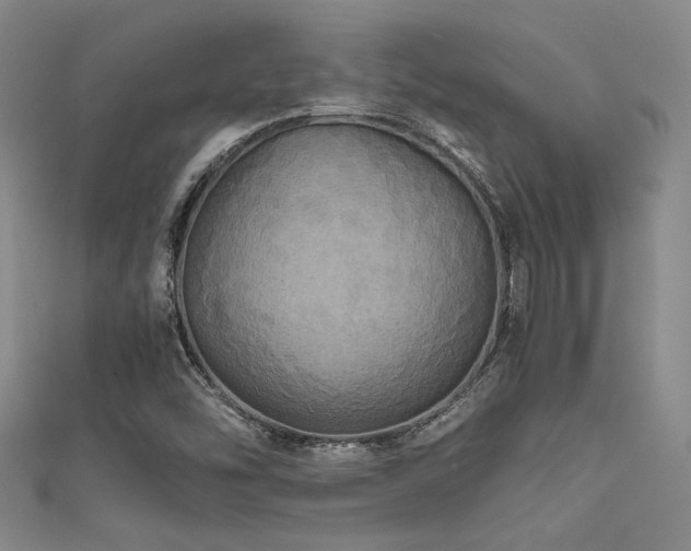 X0000111861454200907231442