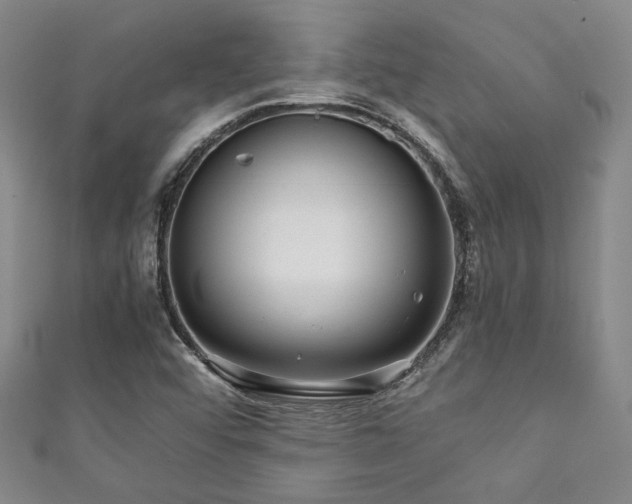 X0000111861456200907231442