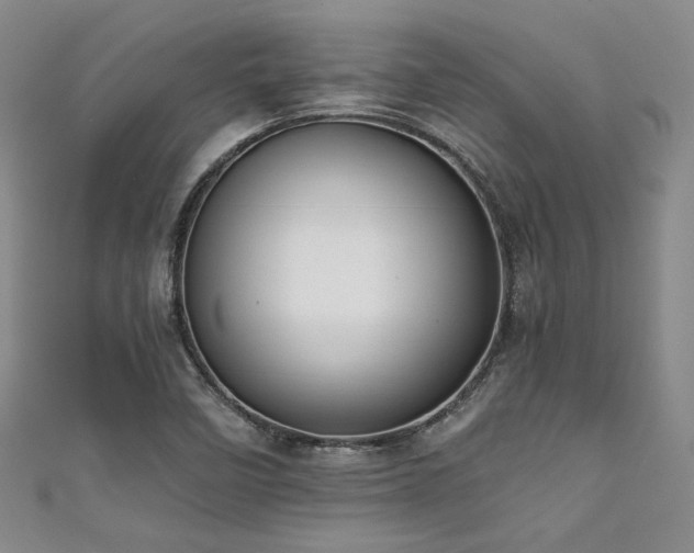 X0000111861458200907231442