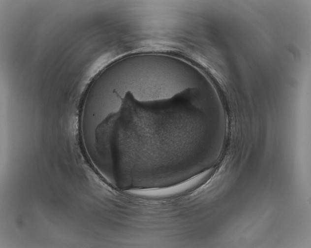X0000111861459200907231442