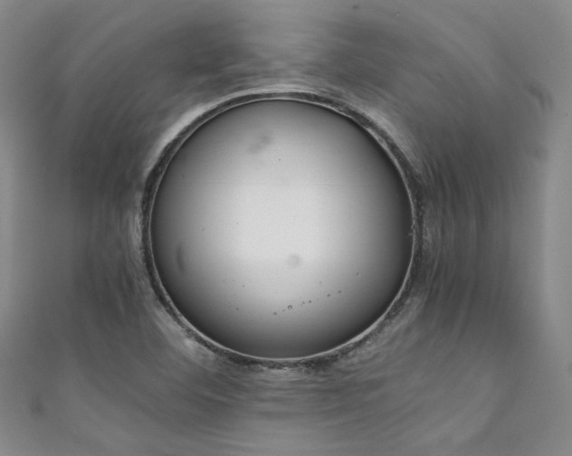 X0000111861460200907231442