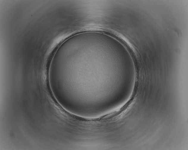 X0000111861461200907231442