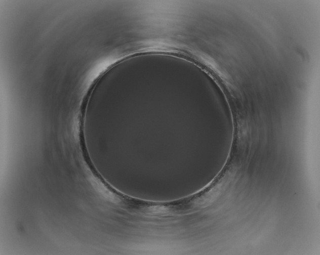 X0000111861463200907231442
