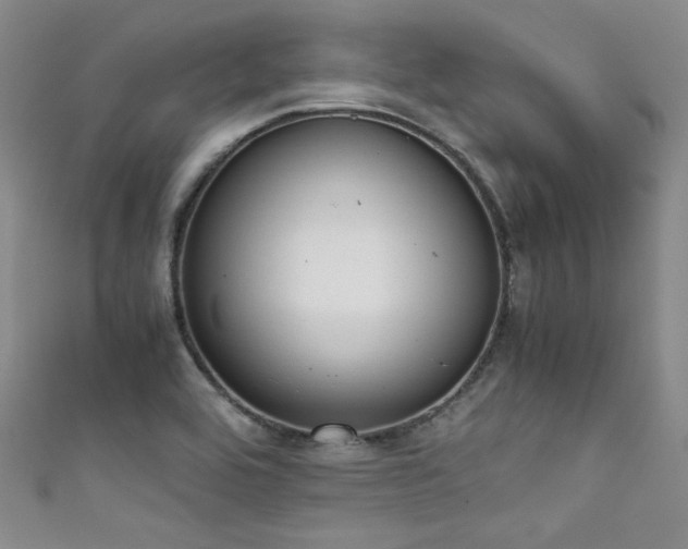X0000111861464200907231442