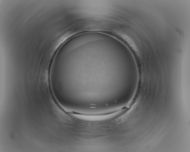 X0000111861465200907231442