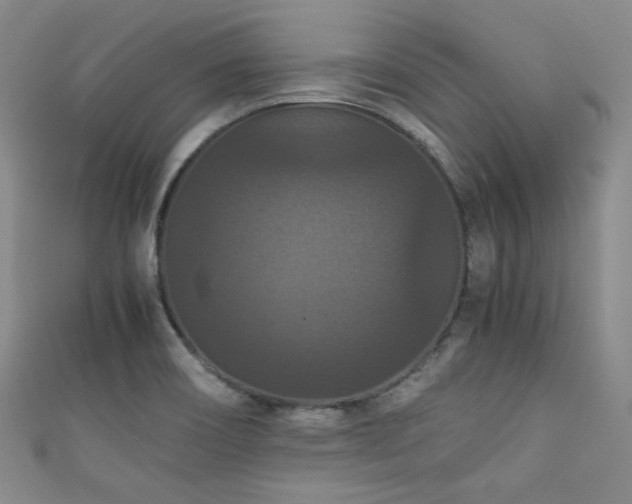 X0000111861466200907231442
