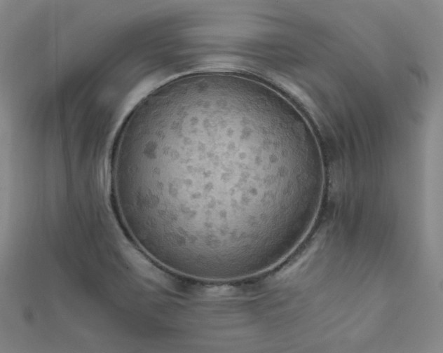 X0000111861467200907231442