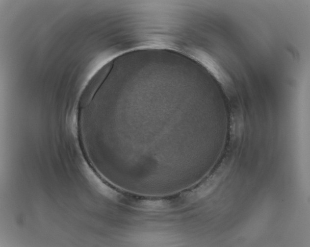 X0000111861468200907231442