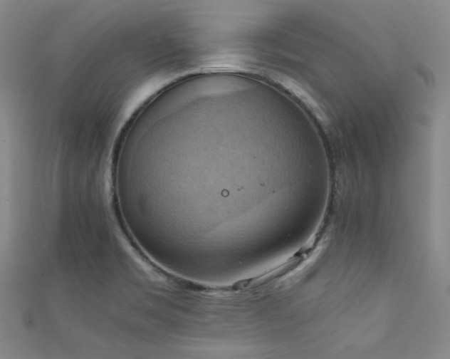 X0000111861469200907231442