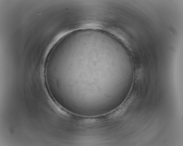X0000111861470200907231442