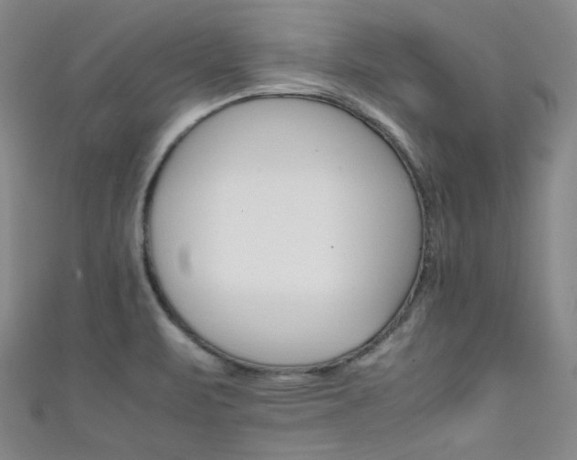 X0000111861471200907231441