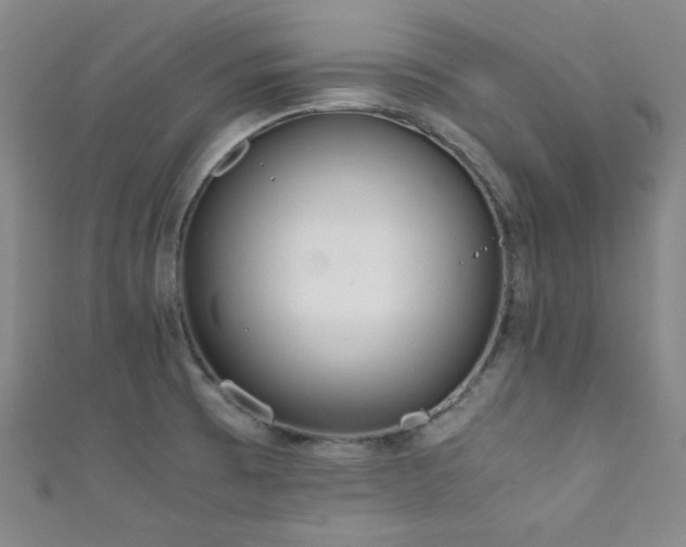 X0000111861473200907231441
