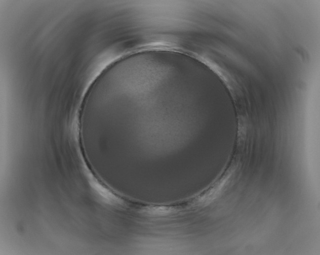 X0000111861474200907231441