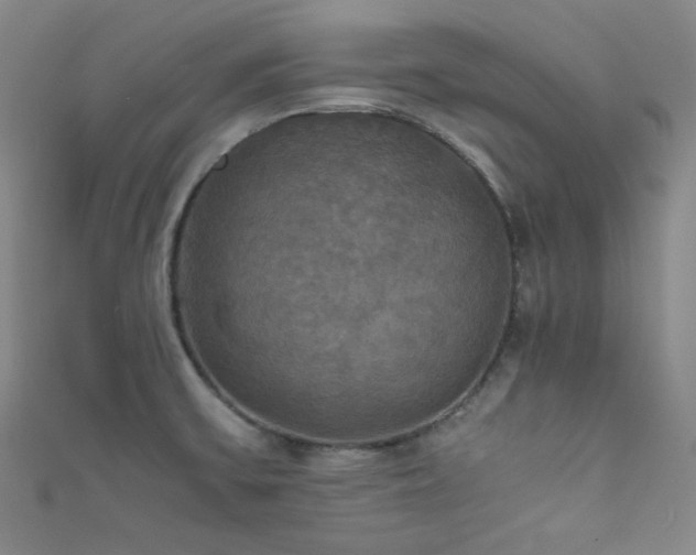 X0000111861475200907231441