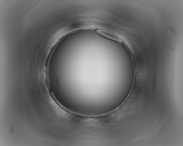 X0000111861476200907231441