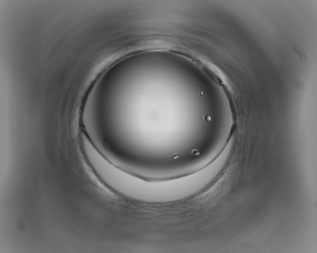 X0000111861477200907231441