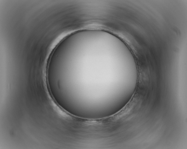 X0000111861478200907231441