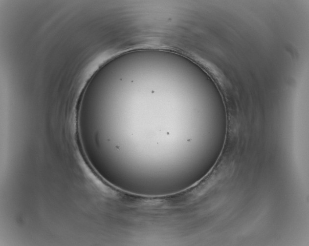 X0000111861479200907231441