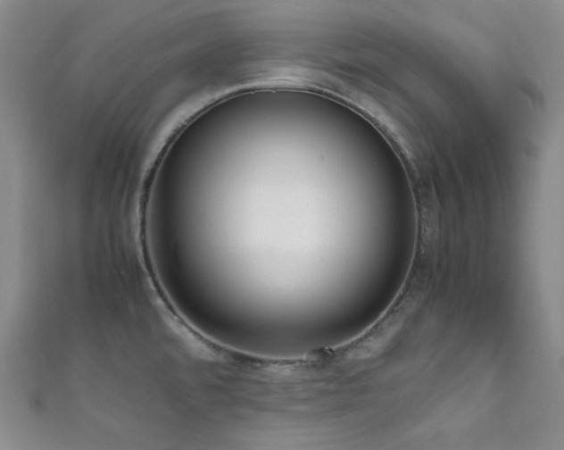 X0000111861480200907231441