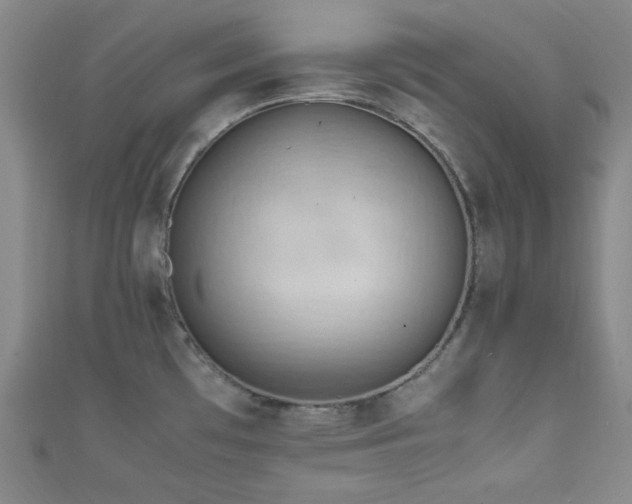 X0000111861481200907231441