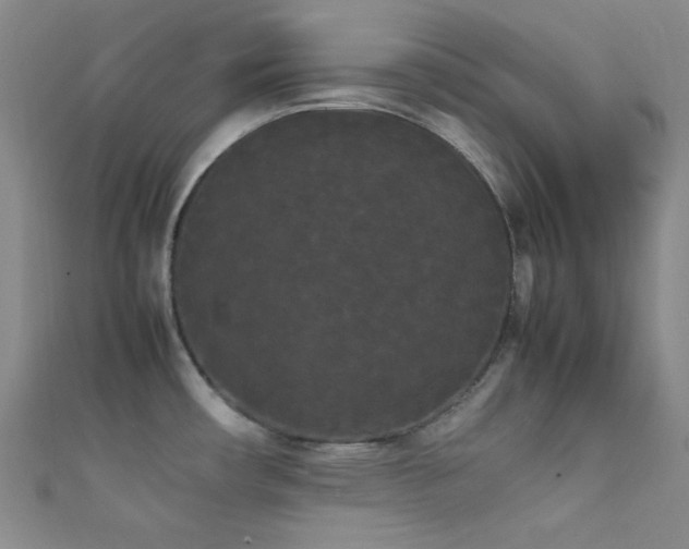 X0000111861482200907231441